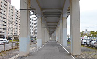 写真2：海岸に近い高架橋全景